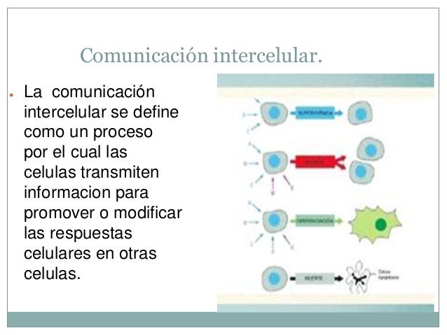 Bioquimica