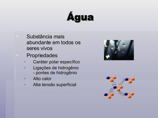 Água Substância mais abundante em todos os seres vivos Propriedades Caráter polar específico Ligações de hidrogênio  - pontes de hidrogênio Alto calor Alta tensão superficial 