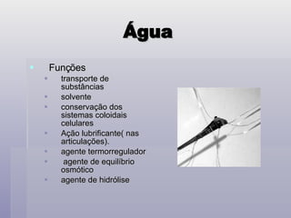 Água Funções transporte de substâncias solvente conservação dos sistemas coloidais celulares Ação lubrificante( nas articulações). agente termorregulador  agente de equilíbrio osmótico agente de hidrólise 