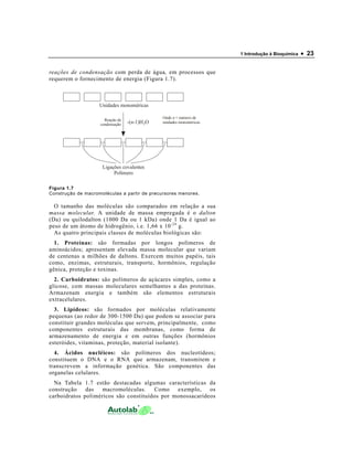1 Introdução à Bioquímica   • 23

reações de condensação com perda de água, em processos que
requerem o fornecimento de energia (Figura 1.7).



                    Unidades monoméricas

                                               Onde n = número de
                      Reação de
                    condensação   -(n-1)H 2O   unidades monoméricas




                     Ligações covalentes
                          Polímero

Figura 1.7
Construção de macromoléculas a partir de precursores menores.

  O tamanho das moléculas são comparados em relação a sua
massa molecular. A unidade de massa empregada é o dalton
(Da) ou quilodalton (1000 Da ou 1 kDa) onde 1 Da é igual ao
peso de um átomo de hidrogênio, i.e. 1,66 x 10 -24 g.
  As quatro principais classes de moléculas biológicas são:
  1. Proteínas: são formadas por longos polímeros de
aminoácidos; apresentam elevada massa molecular que variam
de centenas a milhões de daltons. Exercem muitos papéis, tais
como, enzimas, estruturais, transporte, hormônios, regulação
gênica, proteção e toxinas.
  2. Carboidratos: são polímeros de açúcares simples, como a
glicose, com massas moleculares semelhantes a das proteínas.
Armazenam energia e também são elementos estruturais
extracelulares.
  3. Lipídeos: são formados por moléculas relativamente
pequenas (ao redor de 300-1500 Da) que podem se associar para
constituir grandes moléculas que servem, principalmente, como
componentes estruturais das membranas, como forma de
armazenamento de energia e em outras funções (hormônios
esteróides, vitaminas, proteção, material isolante).
  4. Ácidos nucléicos: são polímeros dos nucleotídeos;
constituem o DNA e o RNA que armazenam, transmitem e
transcrevem a informação genética. São componentes das
organelas celulares.
  Na Tabela 1.7 estão destacadas algumas características da
construção    das   macromoléculas.    Como    exemplo,    os
carboidratos poliméricos são constituídos por monossacarídeos
 
