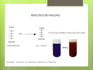 REACTIVO DE FHELLING
+ CU2 rojo ladrillo+ reacción de color
carbohidrato ac. –onico
Ejemplos: Manosa- Ac. Manonico, Ribosa- Ac. Ribonico
 