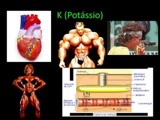 K (Potássio)