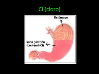 Cl (cloro)carioteca