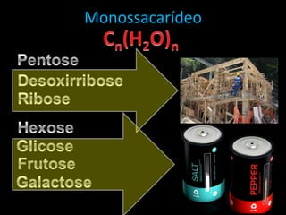 MonossacarídeoCn(H2O)nPentoseDesoxirriboseRiboseHexoseGlicoseFrutoseGalactose