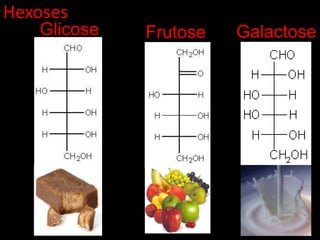 HexosesGlicoseGalactoseFrutose