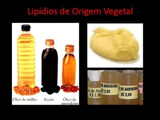 Lipídios de Origem Vegetal
