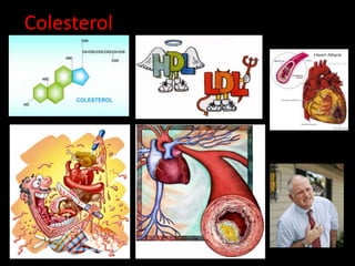 Colesterol