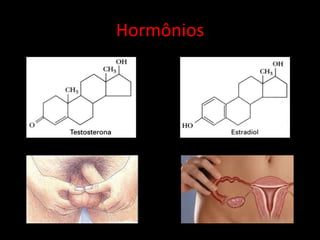 Hormônios