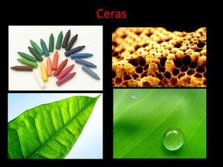 Ceras