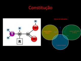 Constitução