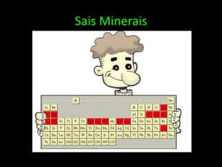 Sais Minerais