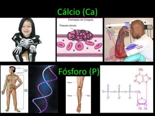 Cálcio (Ca)Fósforo (P)