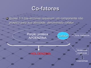 Co-fatores Quase 1/3 das enzimas requerem um componente não protéico para sua atividade, denominado cofator   Porção protéica APOENZIMA Cofator Íons metálicos Moléculas orgânicas Coenzimas HOLOENZIMA 