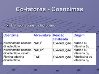 Co-fatores - Coenzimas Transportadoras de hidrogênio 