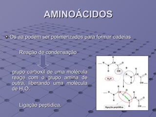 AMINOÁCIDOS Os aa podem ser polimerizados para formar cadeias Reação de condensação  grupo carboxil de uma molécula reage com o grupo amina de outra, liberando uma molécula de H 2 O. Ligação peptídica. 