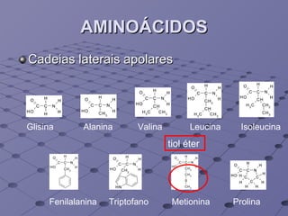 AMINOÁCIDOS Cadeias laterais apolares Glisina Alanina Valina Leucina Isoleucina Fenilalanina Triptofano Metionina Prolina tiol éter  