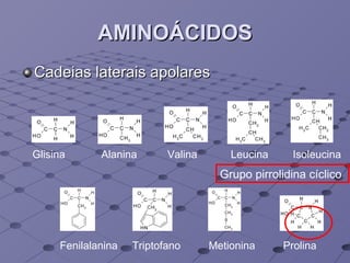 AMINOÁCIDOS Cadeias laterais apolares Glisina Alanina Valina Leucina Isoleucina Fenilalanina Triptofano Metionina Prolina Grupo pirrolidina cíclico 