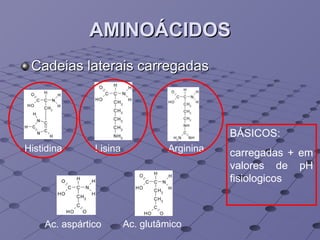 AMINOÁCIDOS Cadeias laterais carregadas Histidina Lisina Arginina Ac. aspártico Ac. glutâmico BÁSICOS: carregadas + em valores de pH fisiologicos 