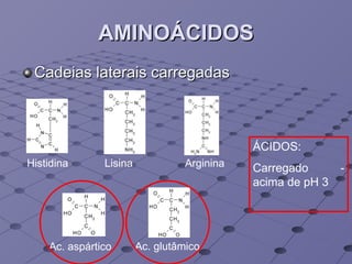 AMINOÁCIDOS Cadeias laterais carregadas Histidina Lisina Arginina Ac. aspártico Ac. glutâmico ÁCIDOS: Carregado - acima de pH 3 