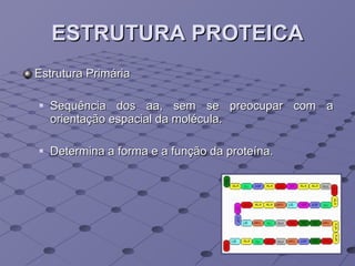 ESTRUTURA PROTEICA Estrutura Primária Sequência dos aa, sem se preocupar com a orientação espacial da molécula.  Determina a forma e a função da proteína. 