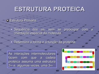 ESTRUTURA PROTEICA Estrutura Primária Sequência dos aa, sem se preocupar com a orientação espacial da molécula.  Determina a forma e a função da proteína. As interações intermoleculares fazem com que a cadeia protéica assuma uma estrutura 2 ária  e, algumas vezes, uma 3 ária 