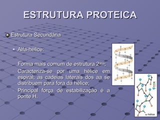 ESTRUTURA PROTEICA Estrutura Secundária Alfa-hélice:  Forma mais comum de estrutura 2 ária ;  Caracteriza-se por uma hélice em espiral; as cadeias laterais dos aa se distribuem para fora da hélice; Principal força de estabilização é a ponte H. 