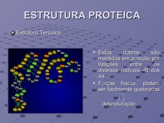 ESTRUTURA PROTEICA Estrutura Terciária Estas  dobras são mantidas em posição por ligações entre os diversos radicais -R dos aa.  Forças fracas, podem ser facilmente quebradas  desnaturação 