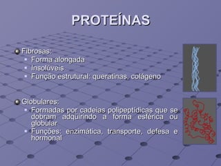 PROTEÍNAS Fibrosas: Forma alongada Insolúveis Função estrutural: queratinas, colágeno Globulares:  Formadas por cadeias polipeptídicas que se dobram adqüirindo a forma esférica ou globular Funções: enzimática, transporte, defesa e hormonal   