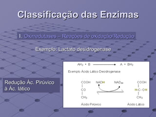 Classificação das Enzimas .  Oxirredutases – Reações de oxidação/Redução Exemplo: Lactato desidrogenase Redução Ác. Pirúvico à Ác. lático 