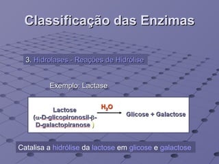 Classificação das Enzimas 3.  Hidrolases - Reações de Hidrólise   Exemplo: Lactase Catalisa a  hidrólise  da  lactose  em  glicose  e  galactose   