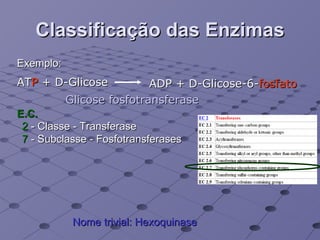 Classificação das Enzimas AT P  + D-Glicose ADP + D-Glicose-6- fosfato Glicose fosfotransferase 2  - Classe - Transferase 7  - Subclasse - Fosfotransferases  Nome trivial: Hexoquinase Exemplo: E.C. 