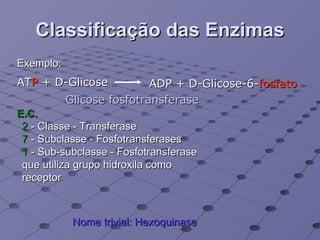Classificação das Enzimas AT P  + D-Glicose ADP + D-Glicose-6- fosfato Glicose fosfotransferase 2  - Classe - Transferase 7  - Subclasse - Fosfotransferases  1  - Sub-subclasse - Fosfotransferase que utiliza grupo hidroxila como receptor Nome trivial: Hexoquinase Exemplo: E.C. 