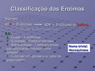 Classificação das Enzimas AT P  + D-Glicose ADP + D-Glicose-6- fosfato Glicose fosfotransferase 2  - Classe - Transferase 7  - Subclasse - Fosfotransferases  1  - Sub-subclasse - Fosfotransferase que utiliza grupo hidroxila como receptor 1  - Indica ser a D-glicose o receptor do grupo fosfato Nome trivial: Hexoquinase Exemplo: E.C. 