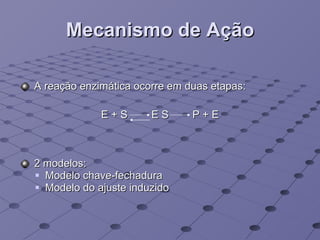 Mecanismo de Ação A reação enzimática ocorre em duas etapas: E + S  E S  P + E 2 modelos: Modelo chave-fechadura Modelo do ajuste induzido 
