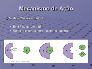 Mecanismo de Ação Modelo Chave-fechadura Emil  Fischer em 1894 Relação estérica entre enzima e substrato  
