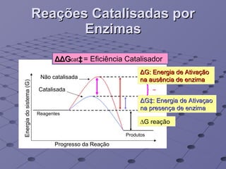 Reações Catalisadas por Enzimas Energia do sistema (G) Progresso da Reação ΔG‡:  Energia de Ativaçao na presença de enzima ΔG : Energia de Ativação na ausência de enzima ∆ G reação Não catalisada Catalisada Reagentes Produtos ΔΔG cat ‡   = Eficiência Catalisador - 