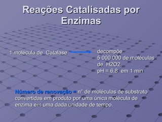 Reações Catalisadas por Enzimas Número de renovação =  n° de moléculas de substrato convertidas em produto por uma única molécula de enzima em uma dada unidade de tempo. 1 molécula de  Catalase decompõe 5 000 000 de moléculas de  H2O2 pH = 6,8  em 1 min 