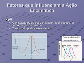 Fatores que Influenciam a Ação Enzimática pH A ionização de aa pode provocar modificações na conformação da enzima. O substrato pode ver-se afetado. Pepsina pH ótimo 1,5 Tripsina pH ótimo 7,7 