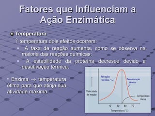 Fatores que Influenciam a Ação Enzimática Temperatura    temperatura dois efeitos ocorrem: A taxa de reação aumenta, como se observa na maioria das reações químicas; A estabilidade da proteína decresce devido a desativação térmica. Enzima    temperatura ótima para que atinja sua atividade máxima 