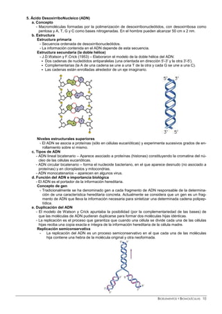 5. Ácido DesoxirriboNucleico (ADN)
   a. Concepto
      - Macromoléculas formadas por la polimerización de desoxirribonucleótidos, con desoxirribosa como
        pentosa y A, T, G y C como bases nitrogenadas. En el hombre pueden alcanzar 50 cm x 2 nm.
   b. Estructura
       Estructura primaria
         - Secuencia ordenada de desoxirribonucleótidos.
         - La información contenida en el ADN depende de esta secuencia.
       Estructura secundaria (la doble hélice)
         - J.D.Watson y F.Crick (1953) – Elaboraron el modelo de la doble hélice del ADN:
             Dos cadenas de nucleótidos antiparalelas (una orientada en dirección 5'-3' y la otra 3'-5').
             Complementarias (la A de una cadena se une a una T de la otra y cada G se une a una C).
             Las cadenas están enrolladas alrededor de un eje imaginario.




       Niveles estructurales superiores
         - El ADN se asocia a proteínas (sólo en células eucarióticas) y experimenta sucesivos grados de en-
           rollamiento sobre sí mismo.
   c. Tipos de ADN
      - ADN lineal bicatenario – Aparece asociado a proteínas (histonas) constituyendo la cromatina del nú-
        cleo de las células eucarióticas.
      - ADN circular bicatenario – forma el nucleoide bacteriano, en el que aparece desnudo (no asociado a
        proteínas) y en cloroplastos y mitocondrias.
      - ADN monocatenarios – aparecen en algunos virus.
   d. Función del ADN e importancia biológica
      - El ADN es el portador de la información hereditaria.
       Concepto de gen
         - Tradicionalmente se ha denominado gen a cada fragmento de ADN responsable de la determina-
           ción de una característica hereditaria concreta. Actualmente se considera que un gen es un frag-
           mento de ADN que lleva la información necesaria para sintetizar una determinada cadena polipep-
           tídica.
   e. Duplicación del ADN
      - El modelo de Watson y Crick apuntaba la posibilidad (por la complementariedad de las bases) de
        que las moléculas de ADN pudieran duplicarse para formar dos moléculas hijas idénticas.
      - La replicación es el proceso que garantiza que cuando una célula se divide cada una de las células
        hijas reciba una copia exacta e íntegra de la información hereditaria de la célula madre.
       Replicación semiconservativa
         - La replicación del ADN es un proceso semiconservativo en el que cada una de las moléculas
              hija contiene una hebra de la molécula original y otra neoformada.




                                                                              BIOELEMENTOS Y BIOMOLÉCULAS 10
 
