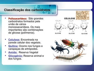 Classificação dos carboidratos:

   Polissacarídeos: São grandes
    carboidratos formados pela
    união de vários
    monossacarídeos. Os mais
    importantes são combinações
    de glicose (polímeros).

 Celulose: Encontrada na
  parede celular dos vegetais.
 Quitina: Ocorre nos fungos e
  carapaças de artrópodes.
 Amido: Reserva Vegetal
 Glicogênio: Reserva animal e
  dos fungos.
 
