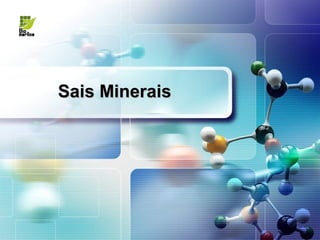 Sais Minerais
 