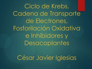 Ciclo de Krebs,
Cadena de Transporte
de Electrones,
Fosforilación Oxidativa
e Inhibidores y
Desacoplantes
César Javier Iglesias
 