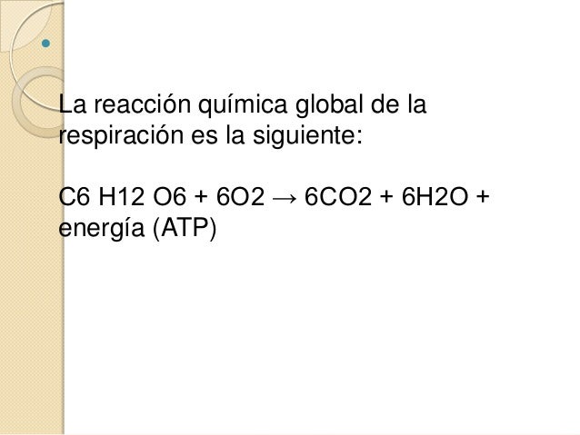 Bioquimica de la respiracion..
