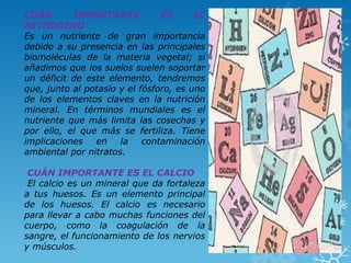 CUÁN
IMPORTANTE
ES
EL
NITROGENO
Es un nutriente de gran importancia
debido a su presencia en las principales
biomoléculas de la materia vegetal; si
añadimos que los suelos suelen soportar
un déficit de este elemento, tendremos
que, junto al potasio y el fósforo, es uno
de los elementos claves en la nutrición
mineral. En términos mundiales es el
nutriente que más limita las cosechas y
por ello, el que más se fertiliza. Tiene
implicaciones
en
la
contaminación
ambiental por nitratos.
CUÁN IMPORTANTE ES EL CALCIO
El calcio es un mineral que da fortaleza
a tus huesos. Es un elemento principal
de los huesos. El calcio es necesario
para llevar a cabo muchas funciones del
cuerpo, como la coagulación de la
sangre, el funcionamiento de los nervios
y músculos.

 