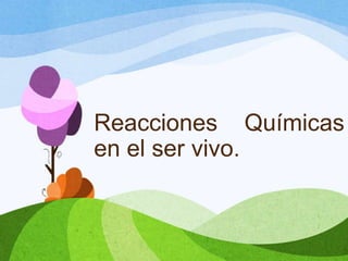 Reacciones Químicas
en el ser vivo.

 