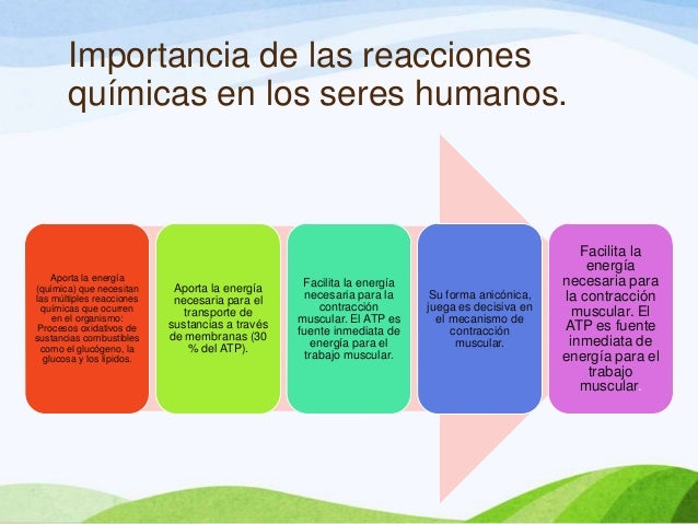 Bioquimica