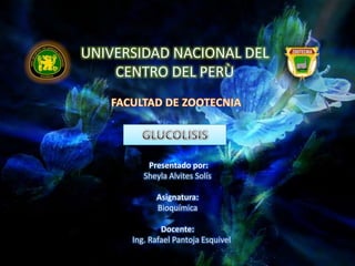 UNIVERSIDAD NACIONAL DEL
CENTRO DEL PERÙ

Presentado por:
Sheyla Alvites Solís
Asignatura:
Bioquímica
Docente:
Ing. Rafael Pantoja Esquivel

 