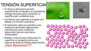 TENSIÓN SUPERFICIAL
• En física se denomina tensión
superficial de un líquido a la cantidad de
energía necesaria para aumentar su
superficie por unidad de área.
• Las fuerzas que soportan a la aguja son
debida a la tensión superficial
• Al colocarlas sobre la superficie unas
moléculas decienden ligeramente
mientras que otras moléculas
adyacentes ejercen una fuerza
restauradora
• Debido a estas furzas moleculares la
superficie se comporta como una
especie de película elástica bajo tensión

¿Qué dijoooooo???

 