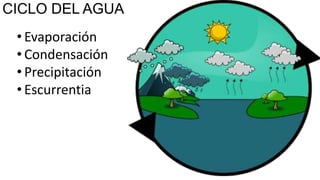CICLO DEL AGUA
• Evaporación
• Condensación
• Precipitación
• Escurrentia

 